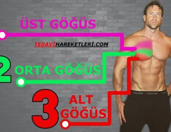 göğüs hareketleri