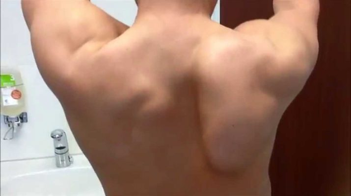 kanat scapula